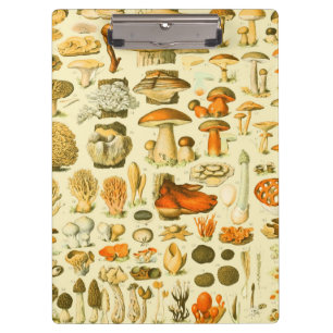Mushroom Vintag Toadstool Antike Illustration Klemmbrett