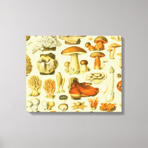Mushroom Vintag Toadstool Antike Illustration Leinwanddruck