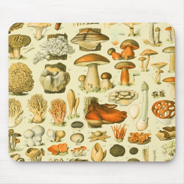 Mushroom Vintag Toadstool Antike Illustration Mousepad (Vorne)