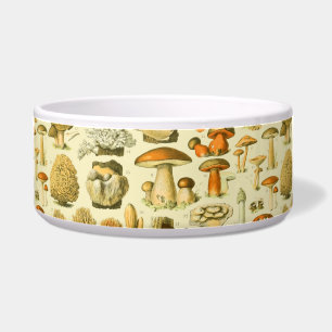 Mushroom Vintag Toadstool Antike Illustration Napf