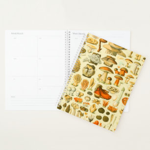 Mushroom Vintag Toadstool Antike Illustration Planer