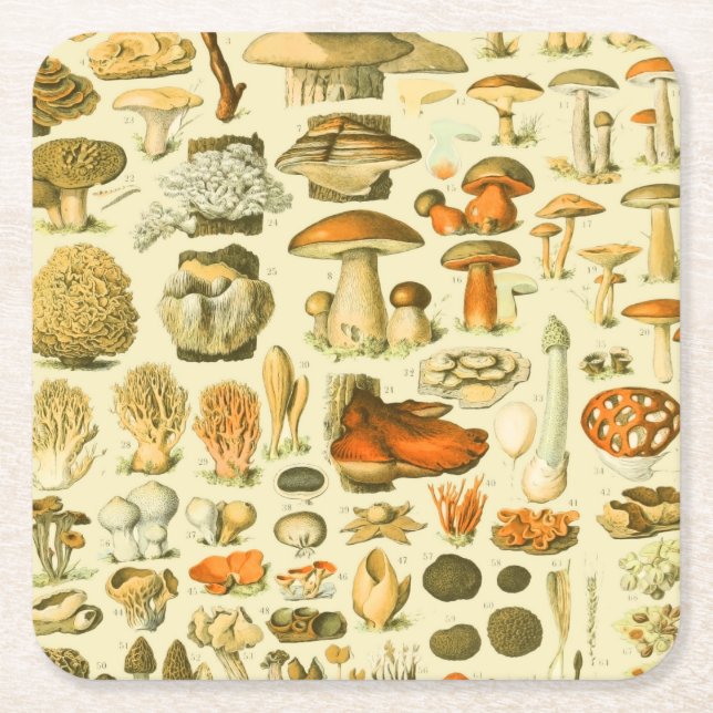 Mushroom Vintag Toadstool Antike Illustration Rechteckiger Pappuntersetzer (Vorderseite)