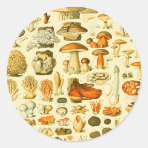 Mushroom Vintag Toadstool Antike Illustration Runder Aufkleber