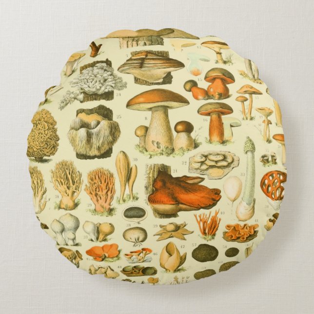 Mushroom Vintag Toadstool Antike Illustration Rundes Kissen (Vorderseite)