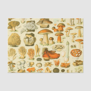 Mushroom Vintag Toadstool Antike Illustration Seidenpapier