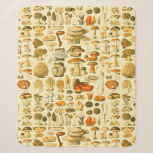 Mushroom Vintag Toadstool Antike Illustration Sherpadecke
