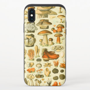 Mushroom Vintag Toadstool Antike Illustration iPhone X Slider Hülle