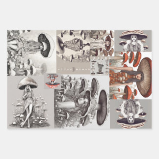 Mushroom Vogue Lady Geschenkpapier Set