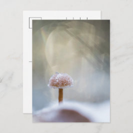 Mushroom Winter Foto Feiertagspostkarte