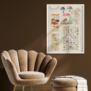 Mushrooms Forest Ephemere Cottagecore Decoupage Seidenpapier