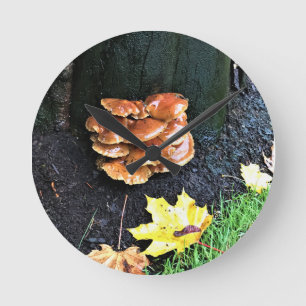 Mushrooms on a Tree, Oregon Runde Wanduhr