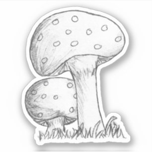 Mushrooms Sketch Aufkleber