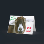 Mushy Romantic Goat Christmas Feiertagskarte<br><div class="desc">Niedliche und lustige Weihnachtskarte mit einer romantischen Ziege mit Liebe in den Augen! Personalisieren Sie die Nachrichten und genießen Sie. Vielen Dank für die Suche! Foto ©Christine Greenspan</div>