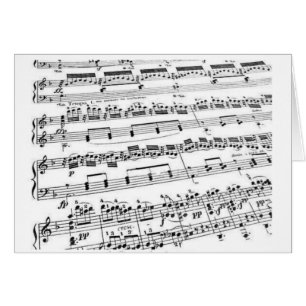 Music Major/Student/Lehrer