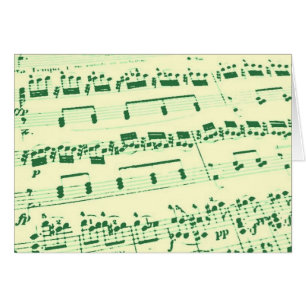 Music Major/Student/Lehrer