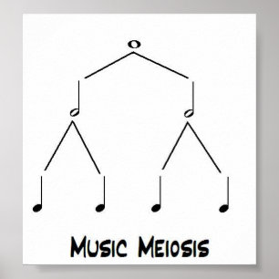 Music Meiose Poster