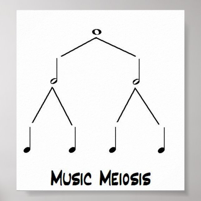 Music Meiose Poster (Vorne)