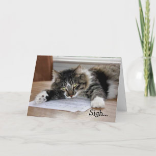 Musical Cat Birthday Song Geburtstagskarte Karte