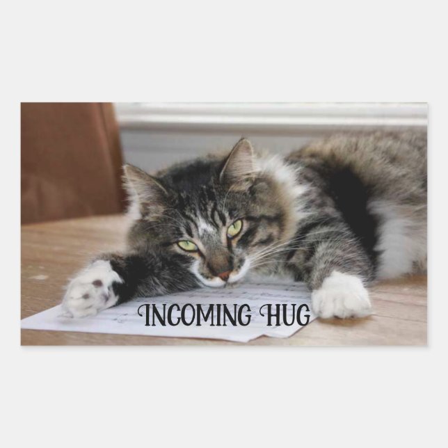 Musical Cat Incoming Hug Stickers (Vorderseite)