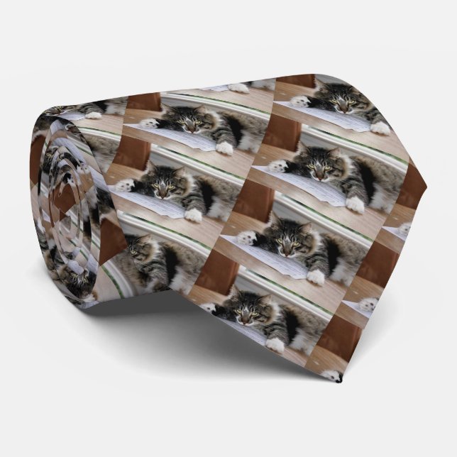 Musical Cat Necktie Krawatte (Gerollt)