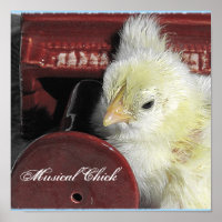 Musical Chick