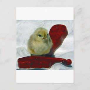 Musical Chick Postkarte