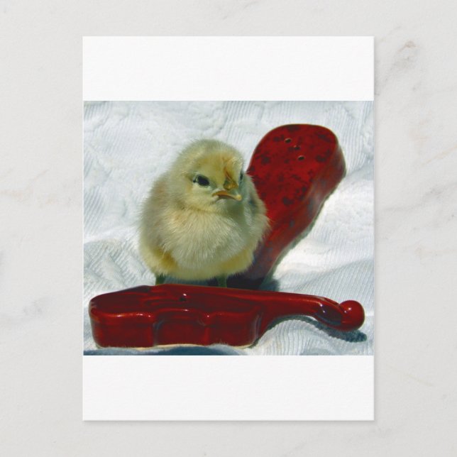 Musical Chick Postkarte (Vorderseite)