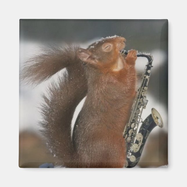 Musical Squirrel Magnet (Vorne)