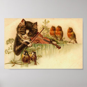 Musik für Vögel, Katzen und Vögel Poster