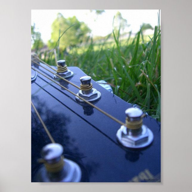 Musik in der Natur Poster (Vorne)