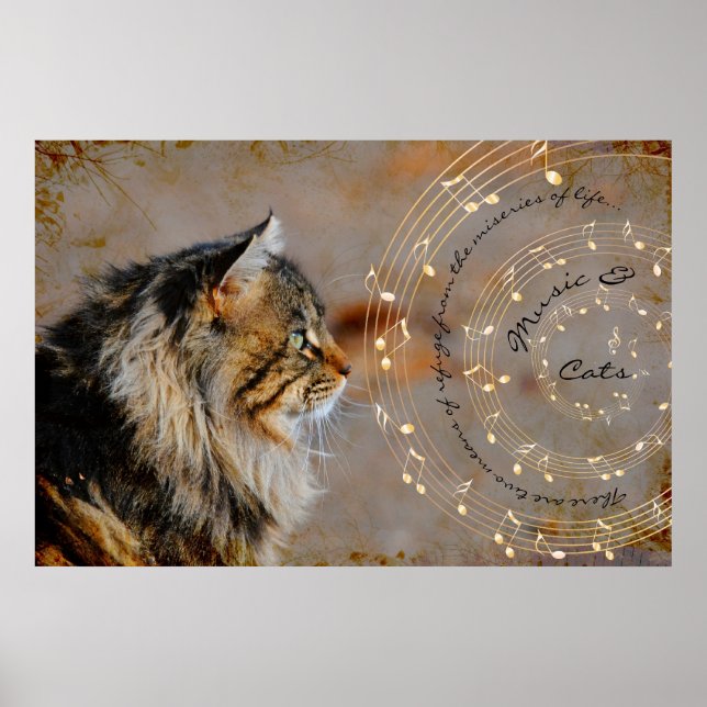 Musik und Katzen Kunstdrucke Poster (Vorne)
