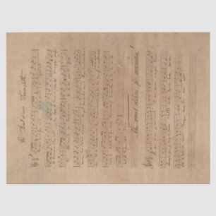 Musik und Rose - Design 3 Seidenpapier