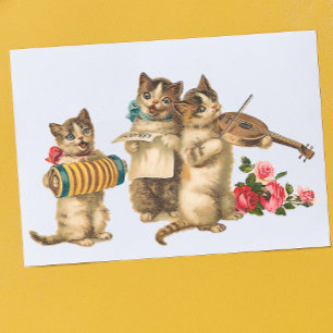 Musikalische Katzen Postkarte