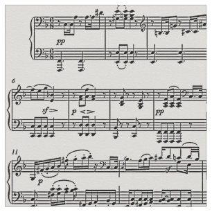 musikalische Noten / Musiksymbole Stoff