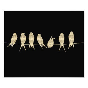 Musikalische Vögel Fotodruck