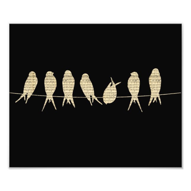 Musikalische Vögel Fotodruck (Vorne)