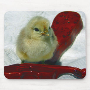 Musikalisches Küken Mousepad
