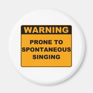 Musikalisches Theater Magnet