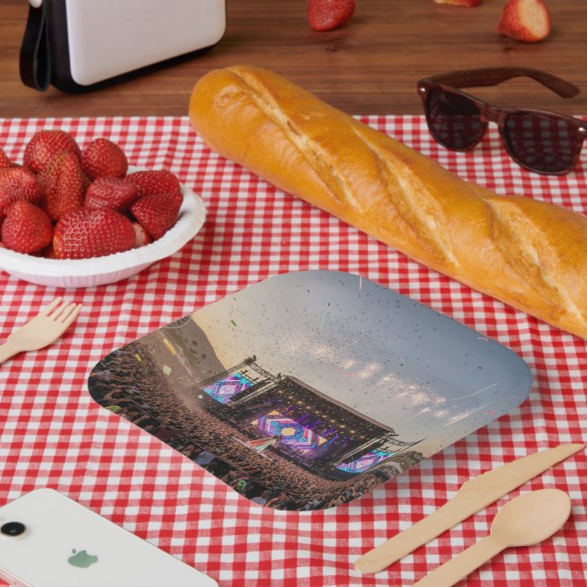 Musikfest Pappteller (Picknick)