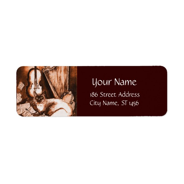 MUSIKKATZE, Musikinstrumente, braun weiß (Vorne)