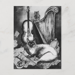 MUSIKKATZE, OWL, VIOLIN, HARP Schwarz-weiße Graumu Postkarte