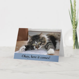 MusikkatzenBig-Hug-Karte Karte