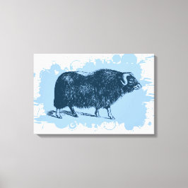 Musk Ox Leinwanddruck