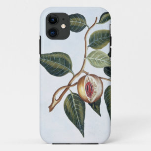 Muskatnuss, Platte 7, 'von der Sammlung Precieuse Case-Mate iPhone Hülle