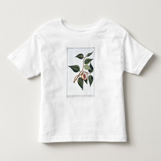 Muskatnuss, Platte 7, 'von der Sammlung Precieuse Kleinkind T-shirt (Vorderseite)