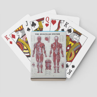Muskel am Körper, der Karten spielt Spielkarten