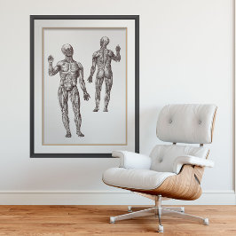 Muskel Männer Sportmedizin menschliche Anatomie Poster