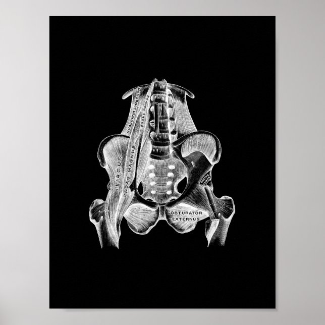 Muskelanatomie in Schwarz-Weiß-Print Poster (Vorne)