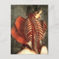 Muskeln des Rückens in einem Weibchen