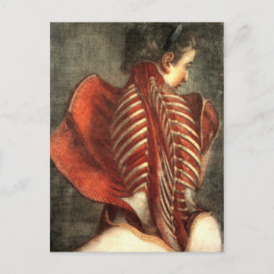 Muskeln des Rückens in einem Weibchen Postkarte